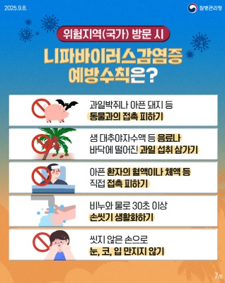 나파바이러스.jpg
