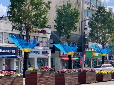 은행나무열매 악취.jpg
