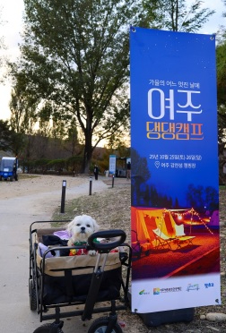 댕댕이캠핑장.jpg