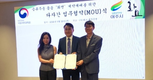 양조용 벼.jpg