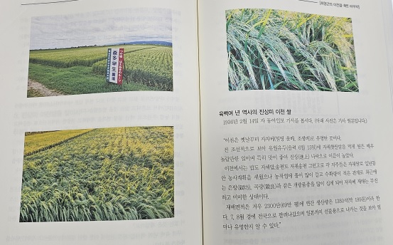 대월농협.jpg