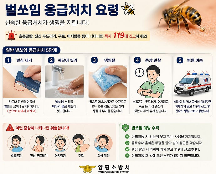 벌쏘임.jpg