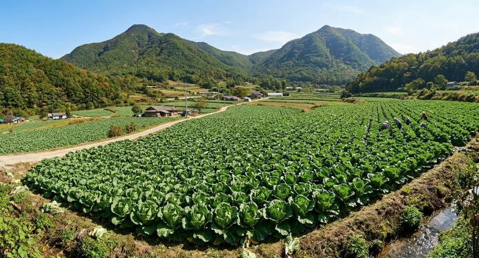 산북면.jpg