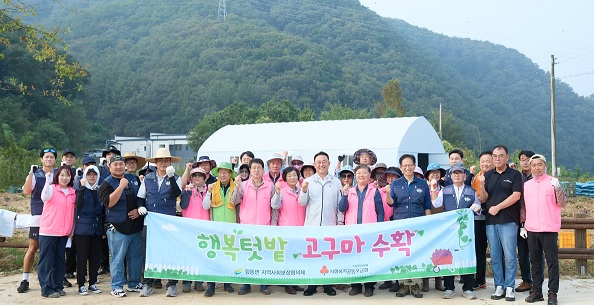 점동면-고구마.jpg