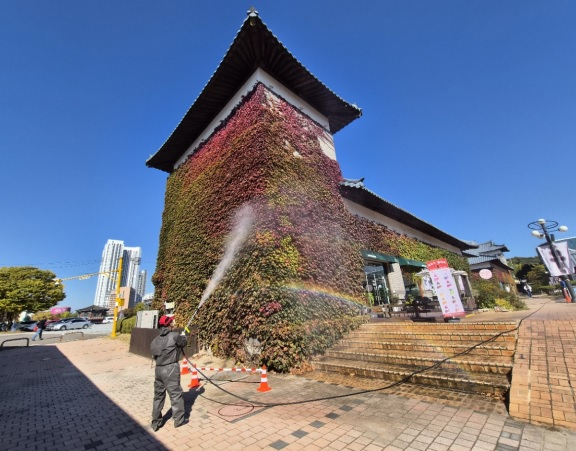 산림해충.jpg