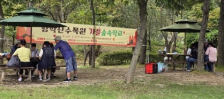 여주 황학산수목원, 가을숲속학교와 온국민 숲데이 운영