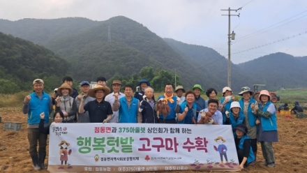 점동면지역사회보장협의체, 행복텃밭, 고구마 수확 사업