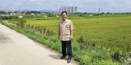 이천시 대표 조생종 품종 육성 시급하다.