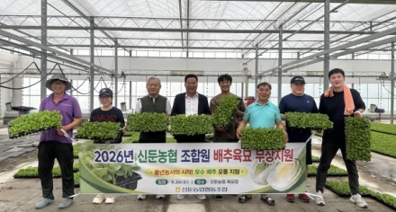 신둔농협, 2026년 전 조합원 배추 모종 무상 공급