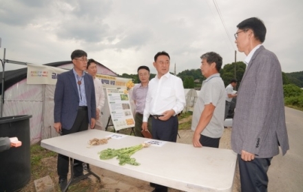 여주시, 여주 참외 맞춤형 내재해형 하우스로 탈바꿈