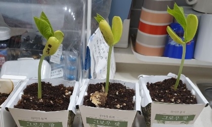 신둔면이 전하는“행복 메시지”