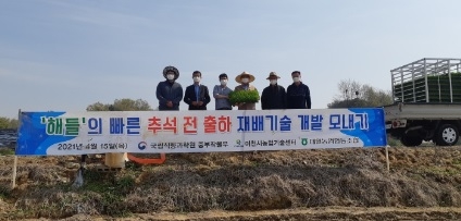대월농협 추석전 해들미 출하 시험재배 실시!