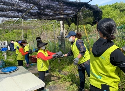 양평군 용문농협 봉사단, 사랑의 연탄 배달봉사 실시
