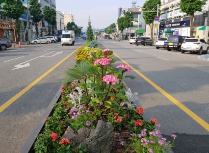 여주시 세종로 중앙화단, 여름꽃으로 새단장