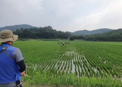 여주시 벼 병해충 공동방제시작! 명품쌀 생산에 박차!