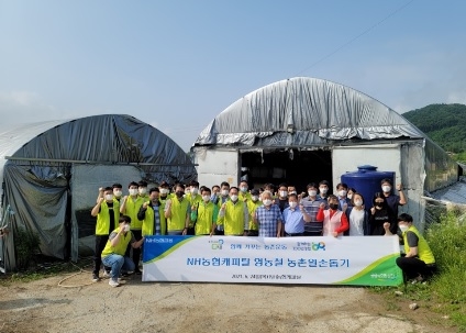 NH농협캐피탈, 양평군 지평면에 영농철 농촌 일손 돕기 봉사활동 전개