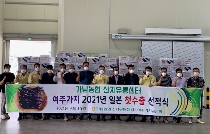 여주 가지 일본 수출길 올라