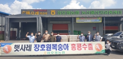 장호원농협 햇사레 복숭아 홍콩수출!!