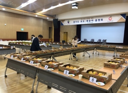 여주시, 경기도 복숭아 품평회 대상 수상