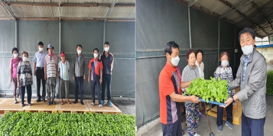 “함께나눔” 장호원농협 전 조합원에게 배추육묘 지급호평!