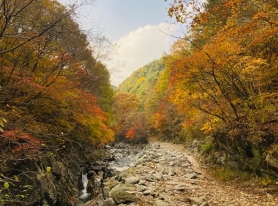145년 비경 활짝 열린 용추계곡 ‘연인산 명품길’ 가을 맞아 단풍 절정