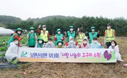 광주시 남한산성면 부녀회, ‘사랑 나눔 고구마’ 수확