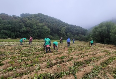 여주고구마로 나눔을 실천하는