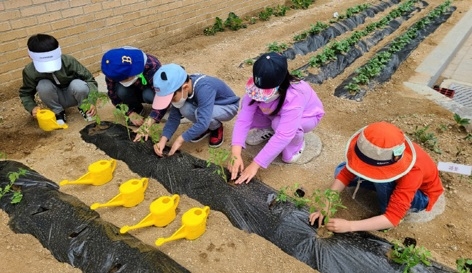이천시농업기술센터, 도시텃밭에서 놀자!