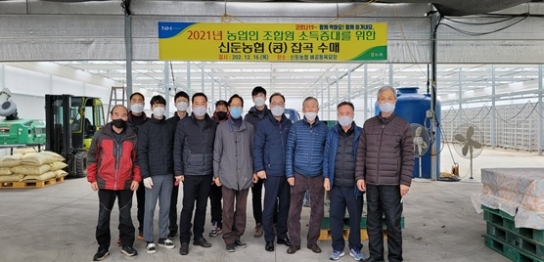 콩 (백태,서리태) 수매 실시
