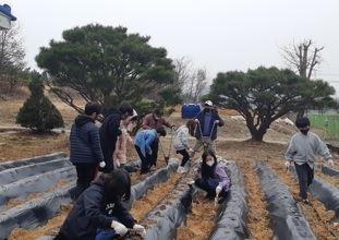 여주 송촌초등학교, ‘사랑의 텃밭 체험’생태교육 속으로 풍덩!