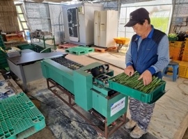 여주시, 신소득작목 아스파라거스 육성 위한 기반시설 지원