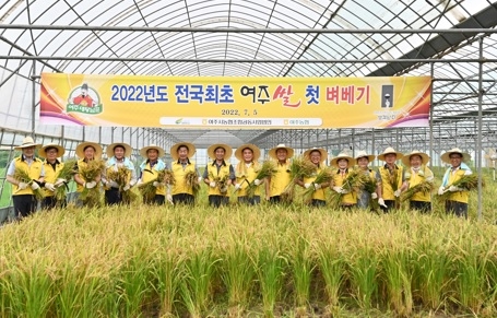 생각난다 대왕님표 여주쌀, 2022년 전국 첫 벼베기