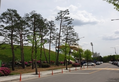 여주도시관리공단, 봄맞이 수목정비 실시
