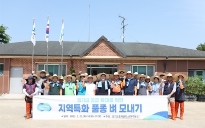 경기도, 지역특화 품종 육성을 위한 ‘벼 모내기’ 시연