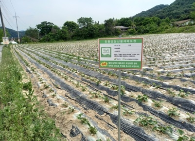 “여기는 건강한 여주시 친환경 농산물 재배 농지입니다.”