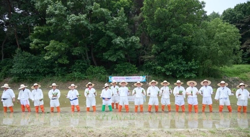 여주쌀 역사의 산실, 점동면 흔암리마을에서 손 모내기 행사 개최