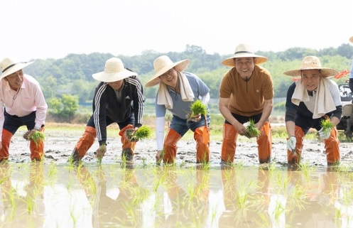 김동연, 여주 모내기 현장 방문. 농업인 격려