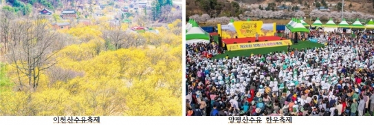 여주 광주 이천 양평 본격적인 지역 축제 일제히 기지개