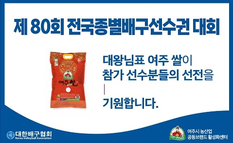 제 80회 전국종별배구선수권대회,