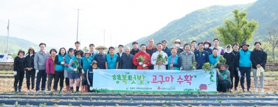 점동면지역사회보장협의체, 「행복텃밭, 고구마 수확 사업」 첫걸음 고구마 심기 행사 열려